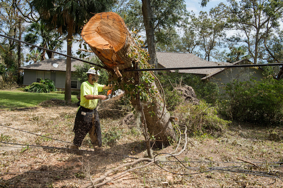 A worker repairs damaged lines in Yulee, Fla., restoring power to residents who had suffered outages for six days in the aftermath of Hurricane Irma. Photo: FEMA/J.T. Blatty