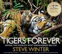 Cover of Tigers Forever