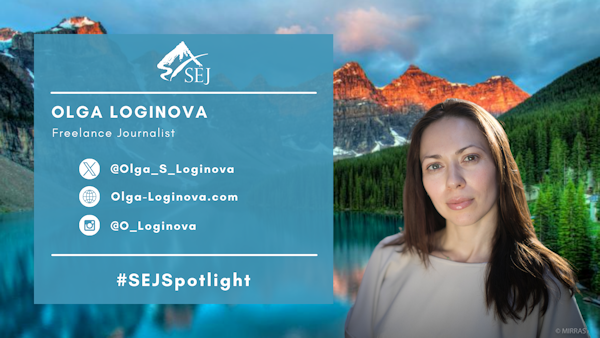 #SEJSpotlight graphic for Olga Loginova
