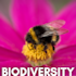 Biodiversity topic graphic